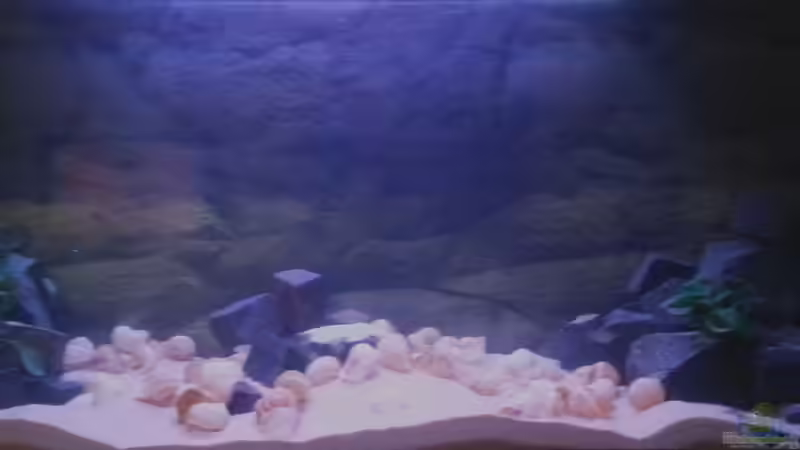 Frontansicht von Daniel Kastner (1)