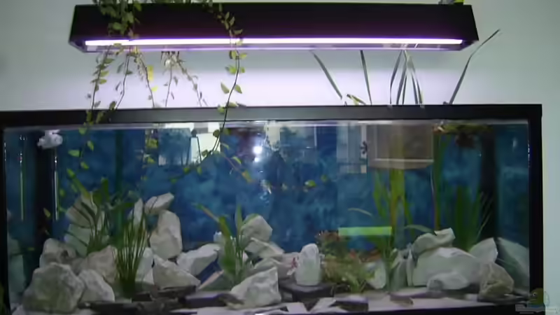 frontansicht von Denis Ulrich