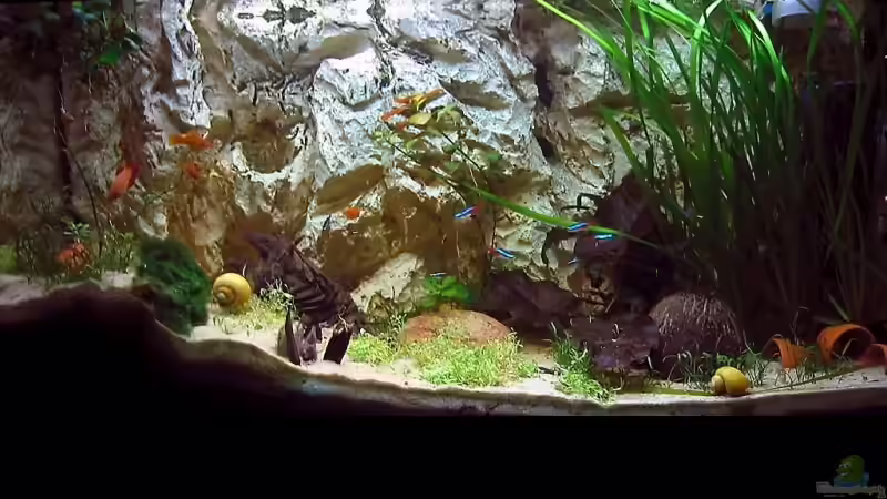 Frontansicht von Dennis Klusmann (1)