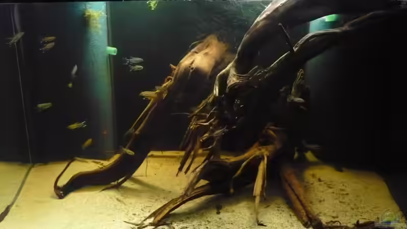 Frontansicht von Der Dortmunder (3)