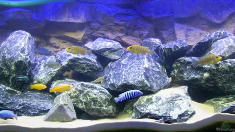 Frontansicht von FinalDragon (1)