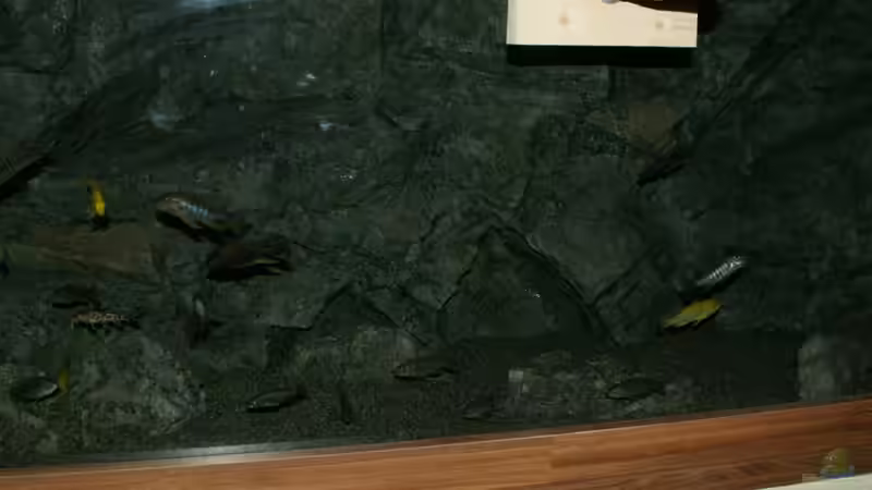 Frontansicht von Frank Wollenburg (13)