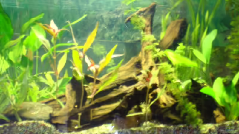 Frontansicht von Gert Schneider