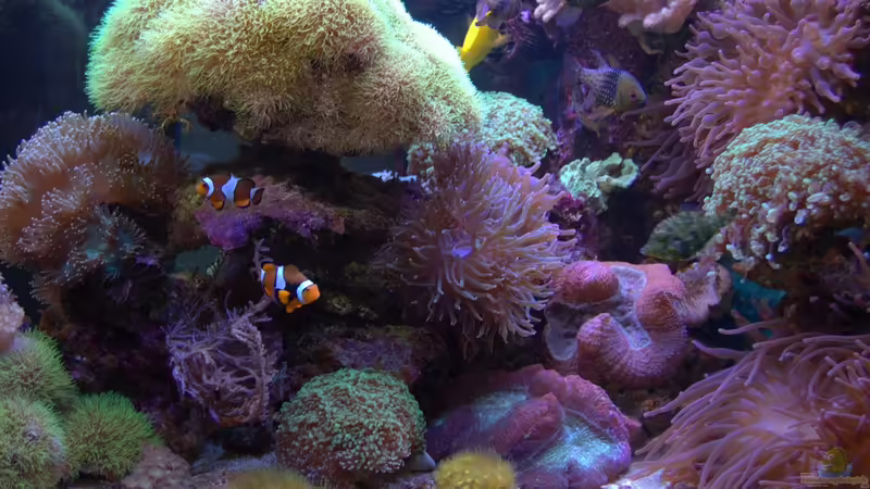 Frontansicht von Holger Höhn (1)