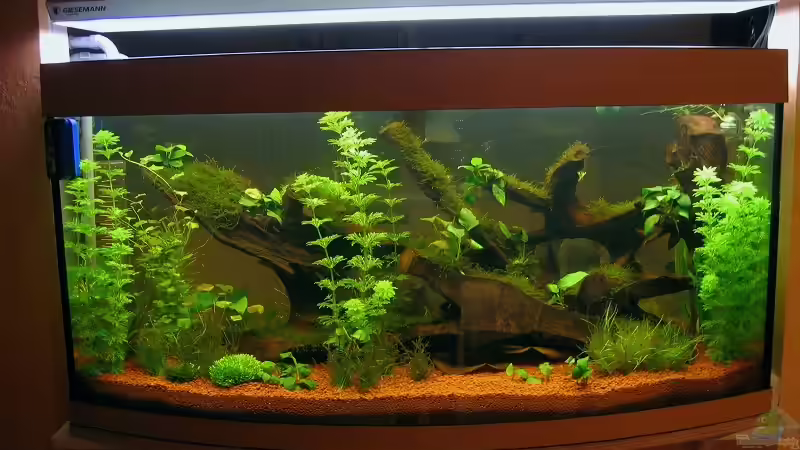 Frontansicht von Hubert Demonty (2)