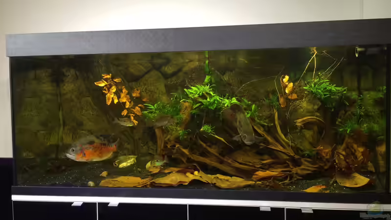 Frontansicht von Jonas B. (2)