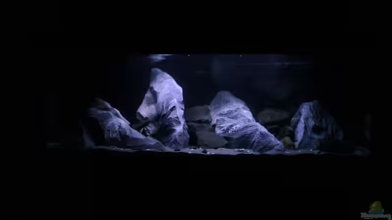 Frontansicht von Jürgen Hubral (19)