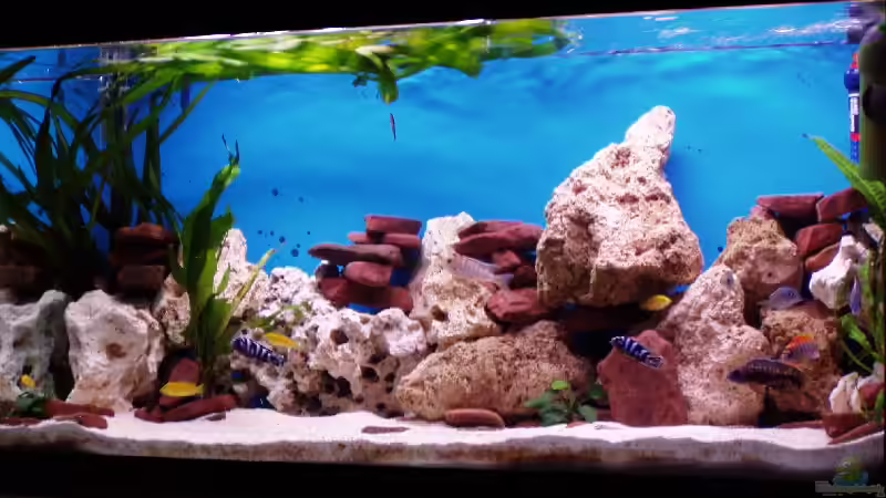 Frontansicht von Lars Doelle (1)