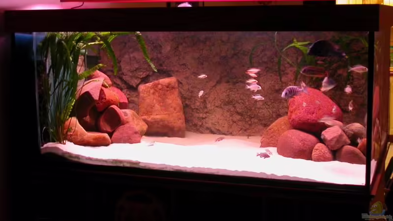 Frontansicht von Lars Joergens (1)