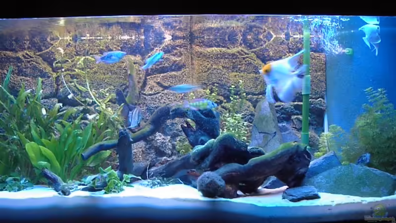 Frontansicht von Marc Strubel (1)