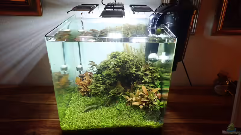 Frontansicht von Mark D.C. (2)