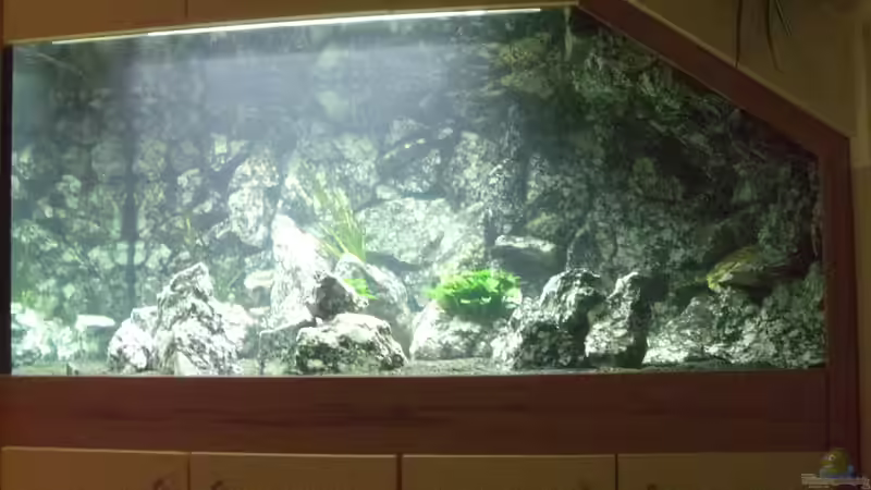 Frontansicht von Markus Maier (19)