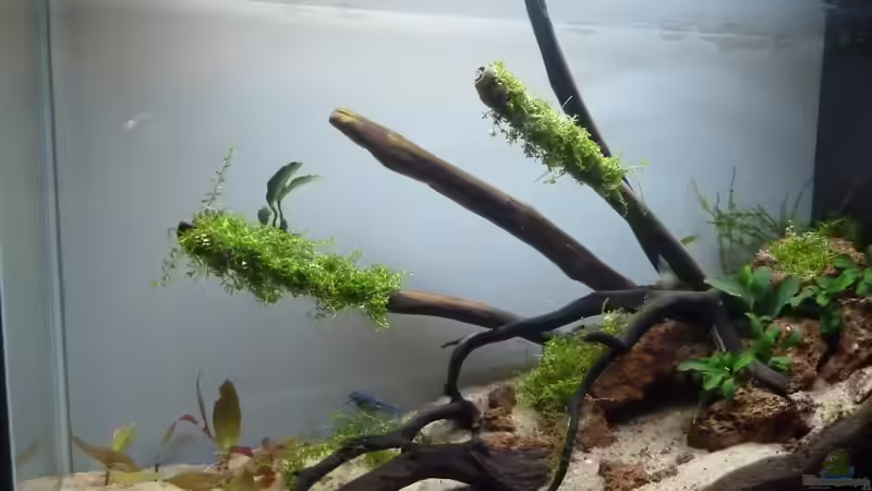 Frontansicht von Martin W. (2)