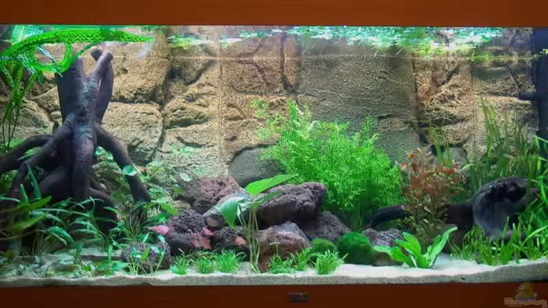 Frontansicht von mgrafix (1)