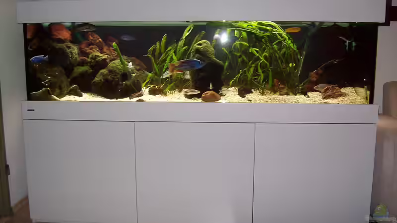 Frontansicht von Michael H. (4)