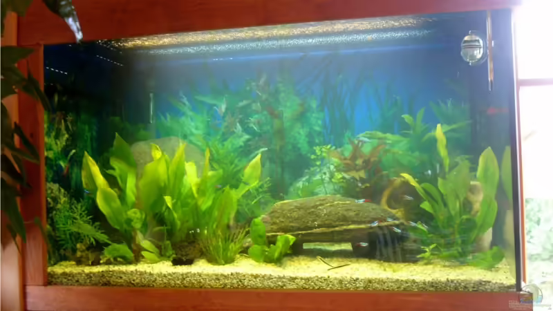 Frontansicht von Mirko Janke (1)