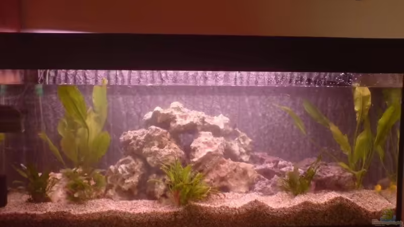 Frontansicht von Nano-FAN (1)