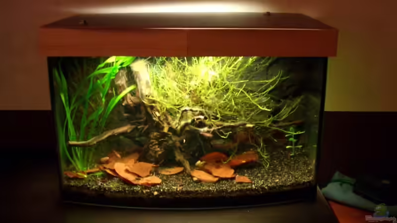 Frontansicht von navigator1 (1)