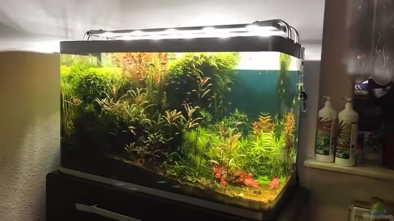 Frontansicht von NOWI1976 (1)