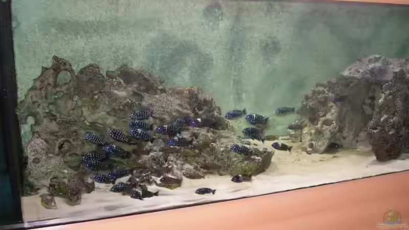 Frontansicht von Oliver Schulte (1)