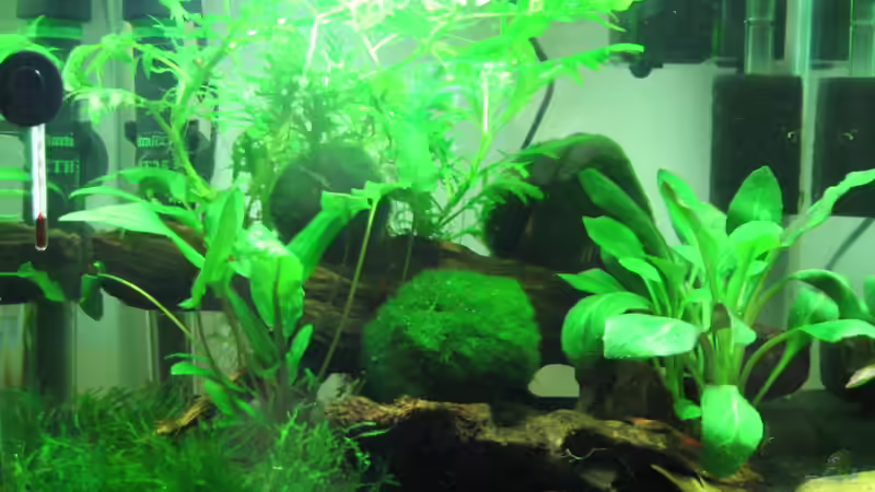 Frontansicht von Patrick Schuler (5)