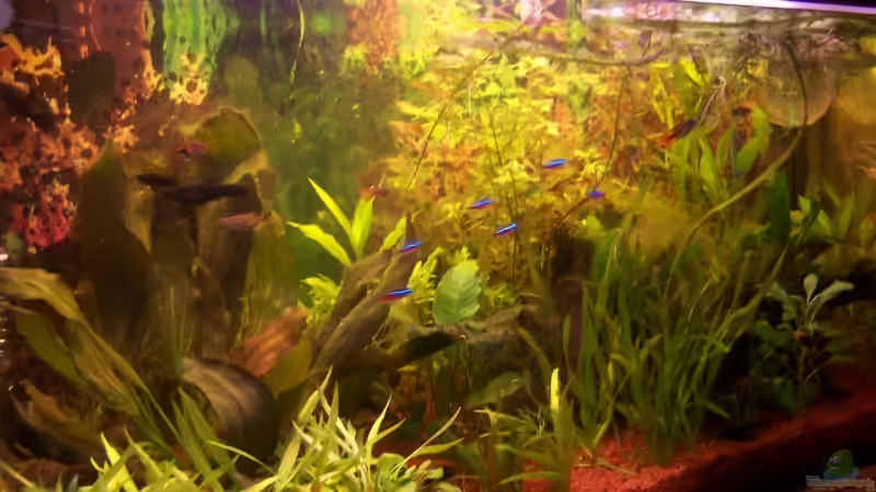 Frontansicht von Peter Kluge