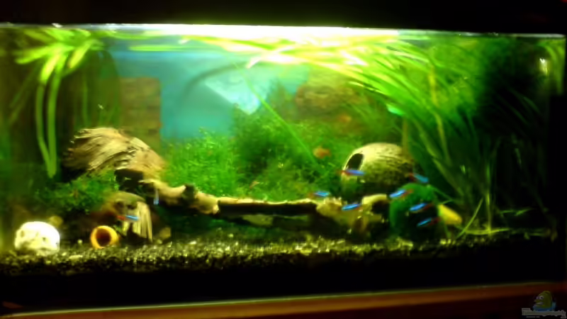 Frontansicht von Peter Lankes (1)