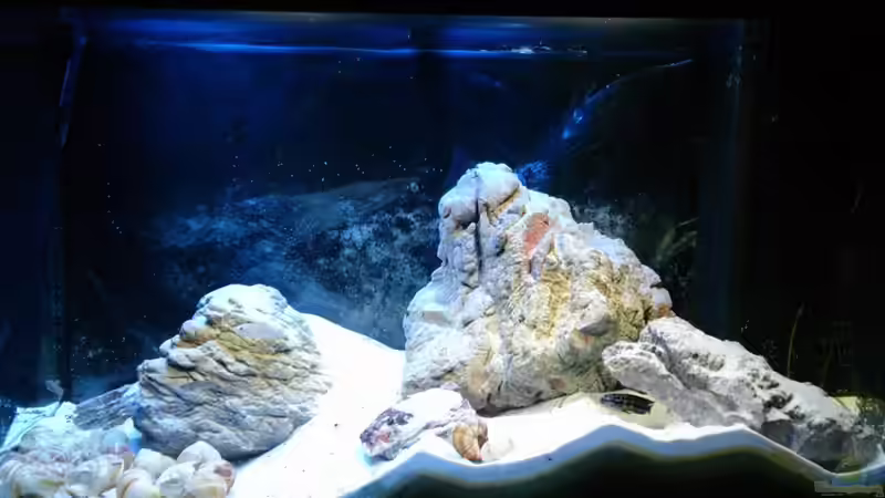 Frontansicht von PhilGabriel (1)