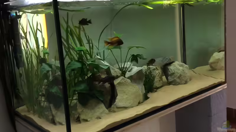 Frontansicht von Philipp Roth (2)