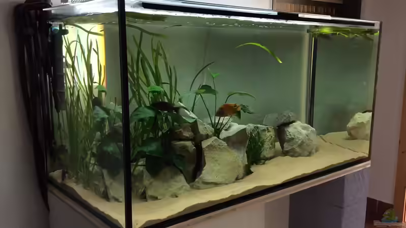 Frontansicht von Philipp Roth (3)