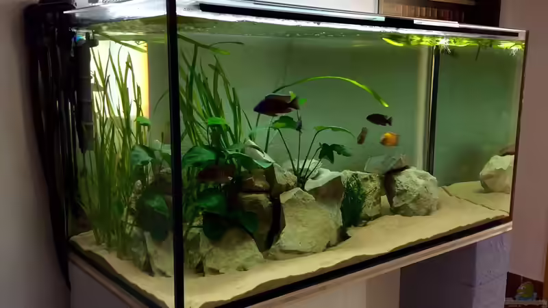 Frontansicht von Philipp Roth (4)