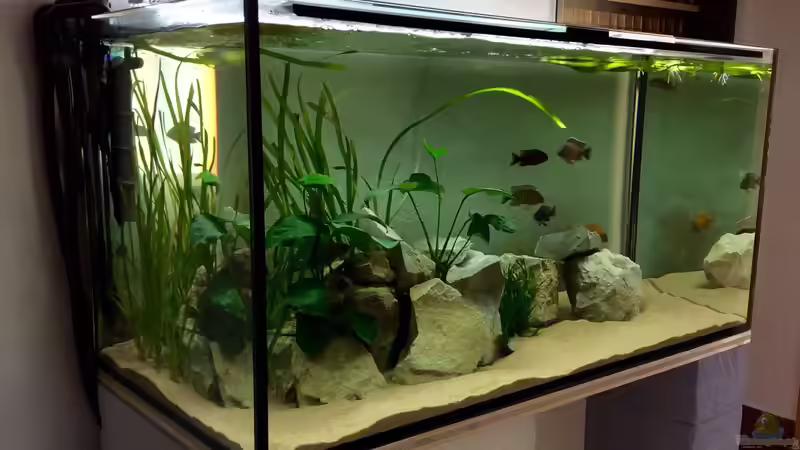 Frontansicht von Philipp Roth (5)