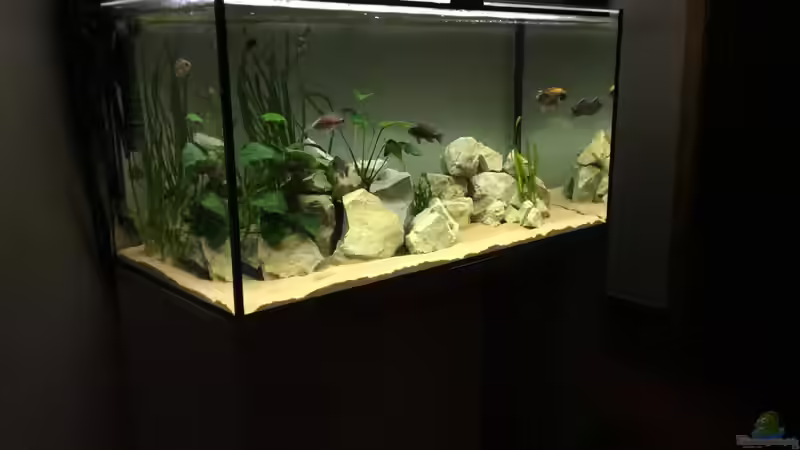 Frontansicht von Philipp Roth (6)