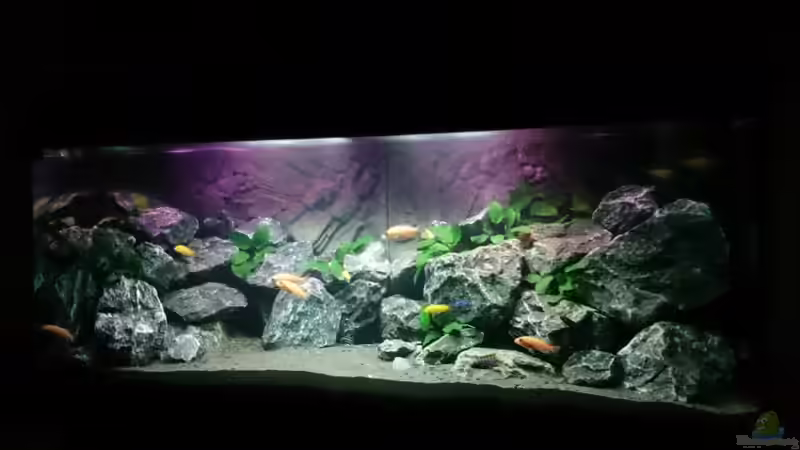 Frontansicht von Philipp Wenzel (1)