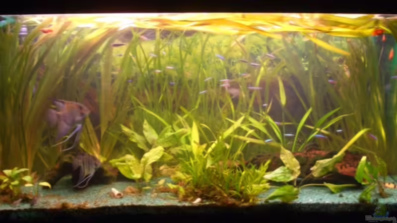 Frontansicht von Sirko Fricke (1)