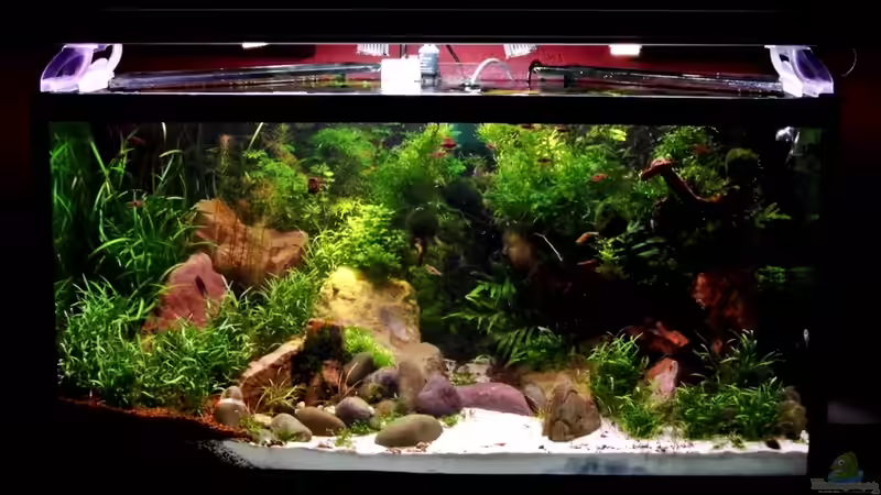 Frontansicht von snooze (22)