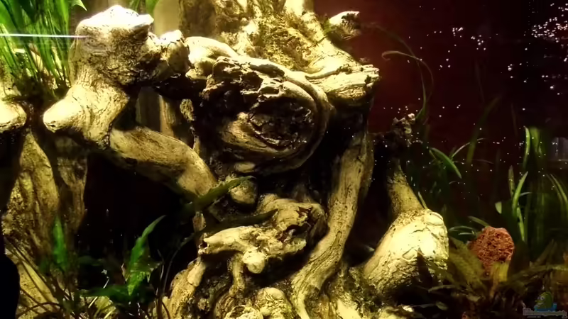 Frontansicht von snooze (8)