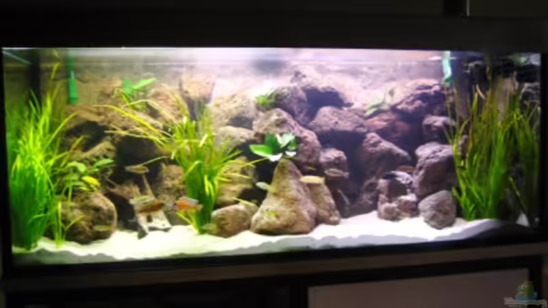 Frontansicht von Stefan Lorenz (1)