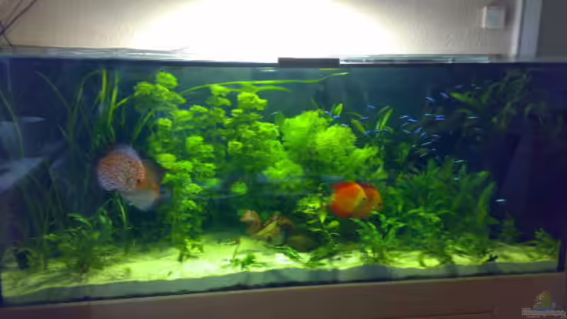 Frontansicht von Sylvia Hoffmann (1)