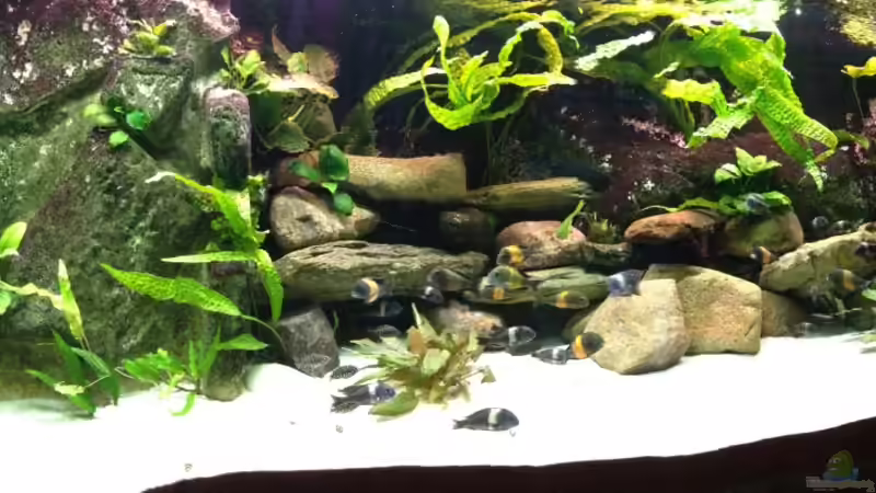 Frontansicht von Thomas Nohr (1)