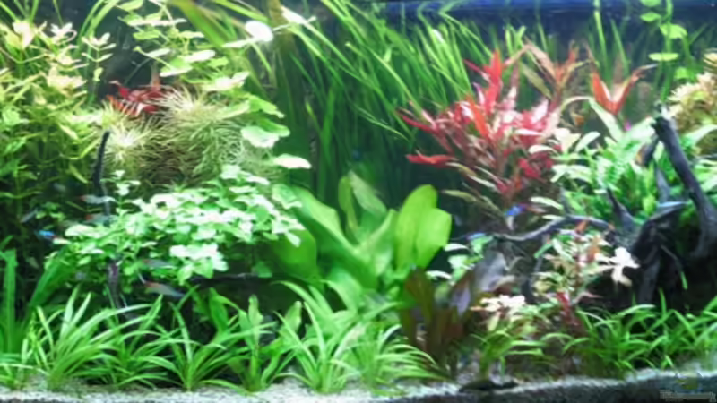 Frontansicht von Thomas Schadock (1)