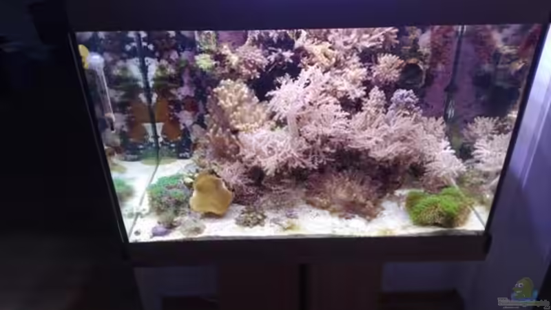 Frontansicht von Torsten Bullmahn (1)