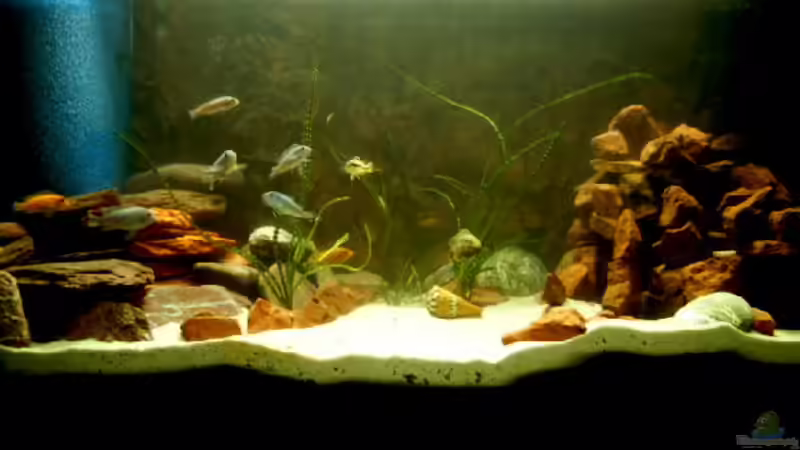 Frontansicht von Torsten Nikolaus (2)