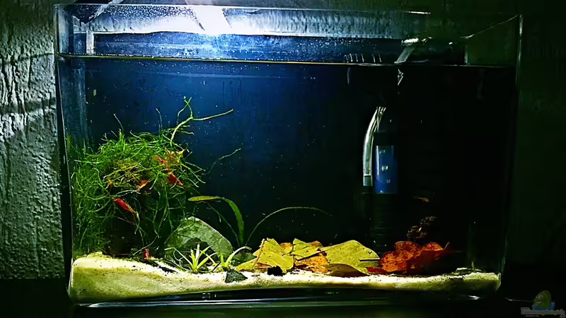 Frontansicht weit von Sale87 (2)