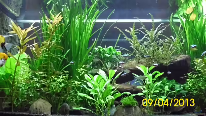 Frontansicht Wohnzimmer von Günther Kröger (1)