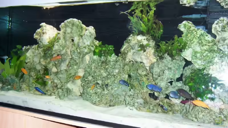 Frontansicht Frontansicht