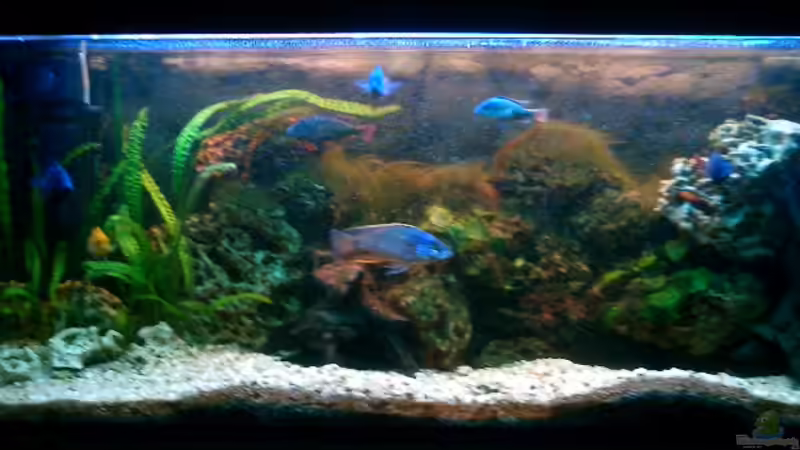 Frontansicht Frontansicht