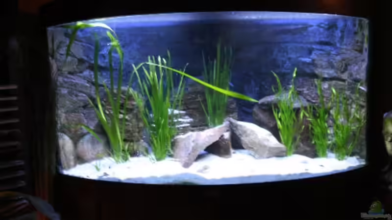 Frontaufnahme(16.12.08) von Florian Bandhauer (9)