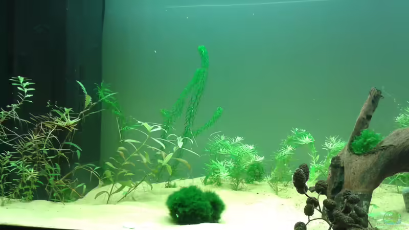 Frontblick linke Seite von er1301 (2)