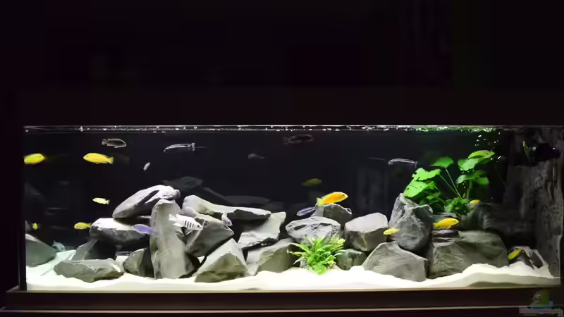 Frontseite von Mazdeur (2)